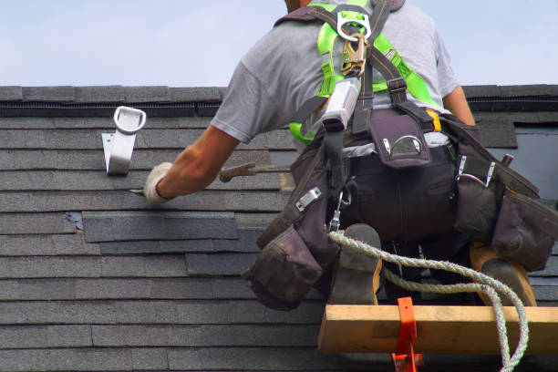 Best Roof Gutter Cleaning  in Russellville, AL