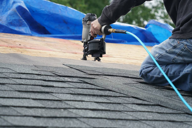 Best Shingle Roofing Installation  in Russellville, AL