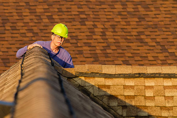 Best Local Roofing Companies  in Russellville, AL