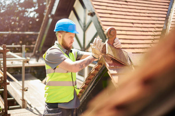 Best Roof Repair Services  in Russellville, AL
